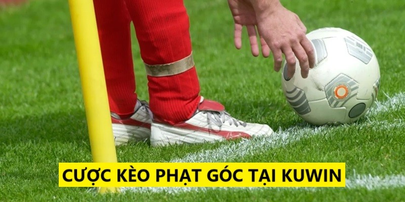 Nhà cái Kuwin hỗ trợ tối đa người chơi đặt cược